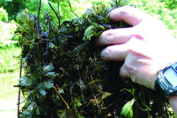 a hand holding a finger up in front of a forest