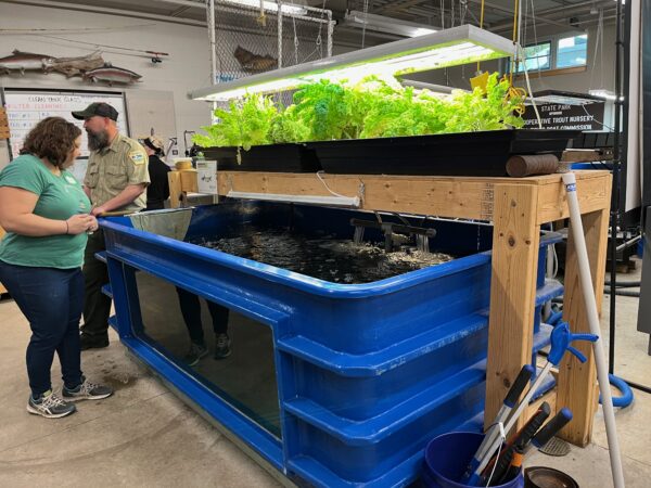 a blue bin with plants inside