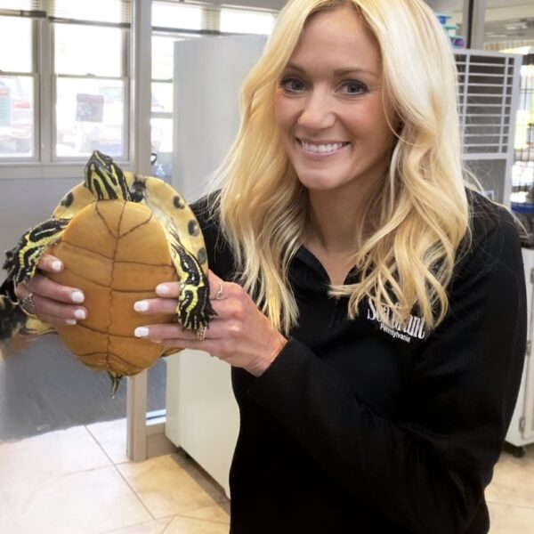 a woman holding a pineapple