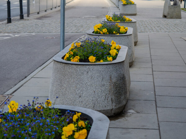 a planter with yellow flowers