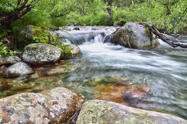 Fast mountain river