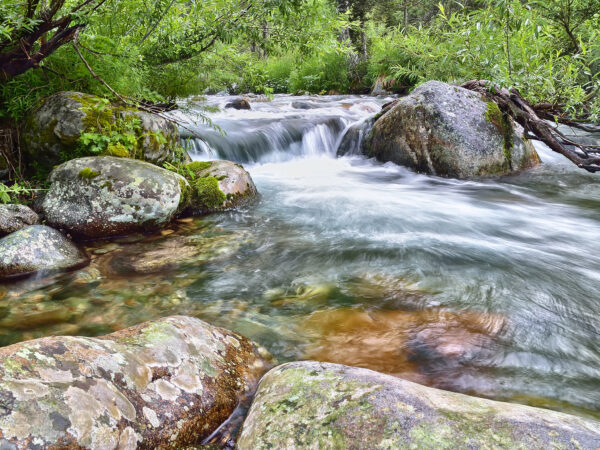 Fast mountain river