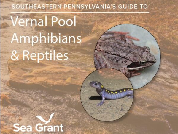 Vernal Pool guide cover