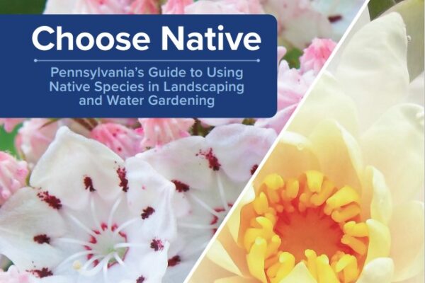 choose native guide