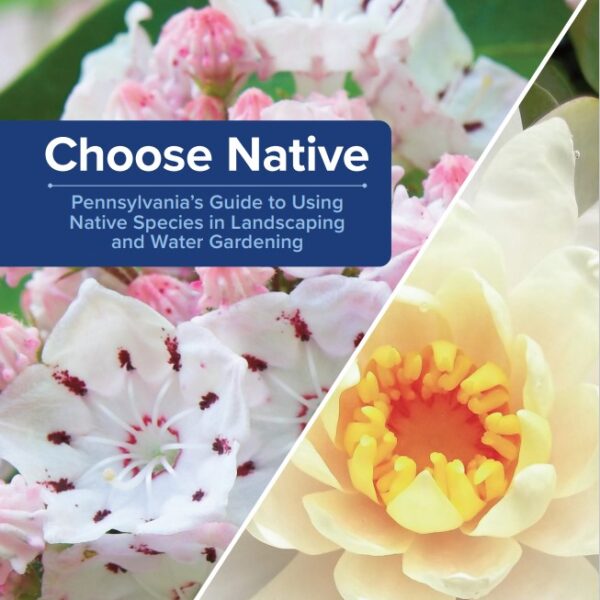 choose native guide