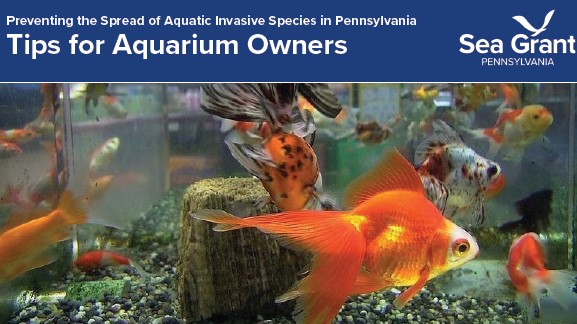 tips for aquarium owners