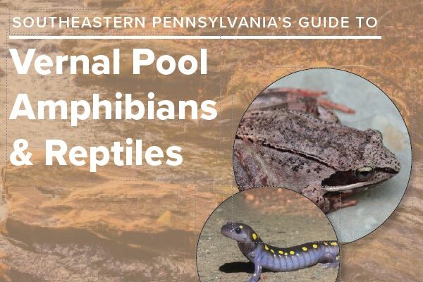 Cover photo of a field guide